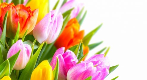 С 8 марта, дорогие женщины!