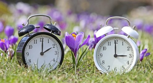 График работы в выходные и праздничные дни апреля и мая