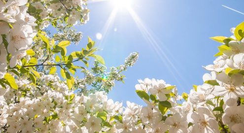 Режим работы МЦ Нордин с 7 по 10 мая