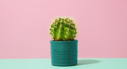 Проктолог Вячеслав Мулица об остром геморрое: особенности, стадии, методы лечения