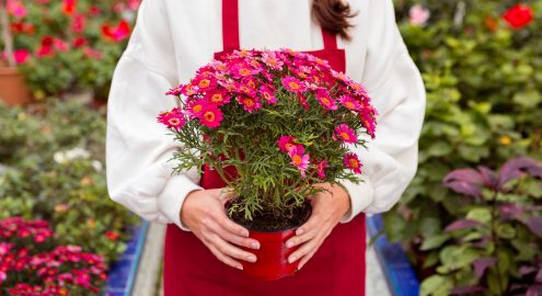 Аллергия на пыльцу. Аллерголог-иммунолог Наталия Бондарь-Ляшук объясняет, как справиться с обострением поллиноза